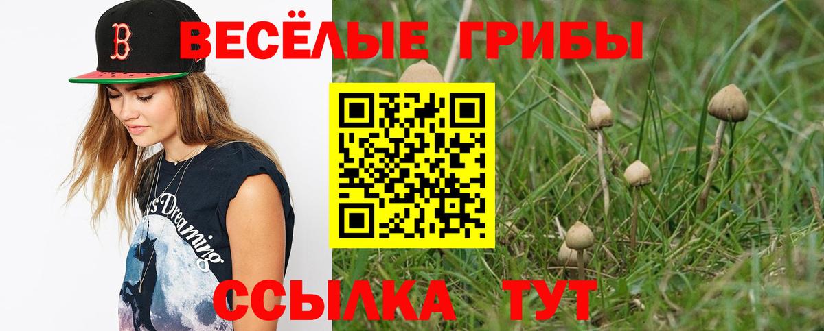 Псилоцибиновые грибы мицелий Нефтеюганск